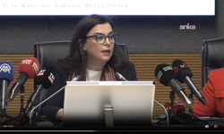 Ankara Barosu Çocuk Hakları Merkezi Başkanı Karaboğa TBMM Suça Sürüklenen Çocuklar Komisyonu'nda Sunum Yaptı