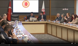 Ankara Cumhuriyet Başsavcı Vekili Akdoğan, TBMM Suça Sürüklenen Çocuklar Komisyonu'nda Sunum Yaptı