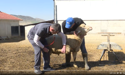 Mansur Yavaş'tan Kırsal'daki Üreticiye Can Suyu