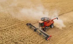 Tarımda Maliyet Fırtınası Dinmiyor