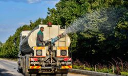 Ankara Büyükşehir Belediyesi Başkent'te Vektör ve Haşerelere Geçit Vermiyor