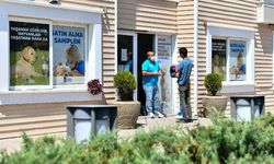 Ankara Büyükşehir Belediyesi'nden 8 Milyonun Üzerinde Sokak Hayvanına Veterinerlik Hizmeti