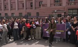 Ankara Kadın Platformu'ndan Gülistan Doku Açıklaması