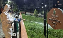 Çankaya’da Sinek ve Haşereye Karşı Gece Mesaisi