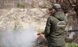 Gölbaşı'nda Sinek ve Haşere Mücadelesi Kesintisiz Sürüyor