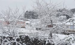 Ankara'da Nisanda Kar Yağdı