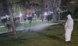 Çankaya’da Sinek ve Haşereye Karşı Gece Mesaisi Sürüyor