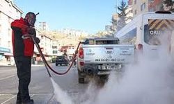 Çankaya Belediyesi'nde İlaçlama Çalışmaları Hızlandı