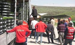 Mansur Yavaş'tan 8 İlçeye Erkenci Fide Desteği