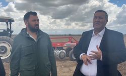 CHP'li Gürer: Türkiye’de Her Yıl 23 Milyon Ton Gıda Çöpe Gidiyor