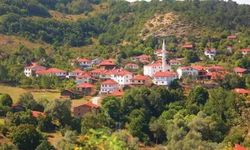 AYM’den Onay Çıktı: 2 Bin Altı Nüfuslu Belediyeler Köye Dönüşecek