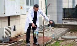 YENİMEK’te Bahçe Bitkileri ve Yeşil Alan Düzenleme Kursu Başladı