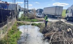 Yenimahalle’de Larva İlaçlama Çalışmaları Devam Ediyor