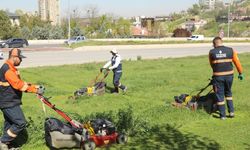 Çankaya Belediyesi Parkları Bahara Hazırlanıyor