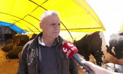 Keçiören'de Kurbanlık Satışı Başladı: Fiyatlar Ne Oldu?