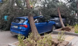 Ankara'da Etkili Olan Şiddetli Rüzgar Nedeniyle 2 Ağaç Park Halindeki Otomobillerin Üzerine Devrildi