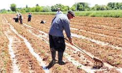 Tarımda Girdi Maliyetleri Martta Yıllık Yüzde 34,26 Arttı