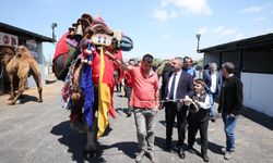Pursaklar'da Kurban Bayramı Öncesi Kesim Provası