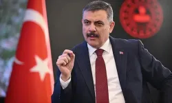 Bakan Çiftçi: Sahipsiz Sokak Hayvanlarının Yüzde 80'i Toplandı, Ekime Kadar Tamamlanacak
