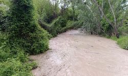Nallıhan'da Sağanak Sonrası Taşkın