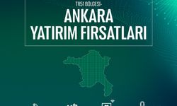 Ankara Yerel Kalkınma Hamlesi Teşvik Programı Başvurularında Son 2 Gün