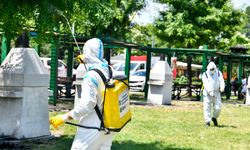 Ankara Büyükşehir Belediyesi  İlaçlama Seferberliğine 25 İlçede Aralıksız Devam Ediyor