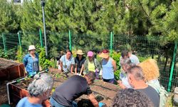 Çankaya Kent Bostanlarında Fideler Dikildi