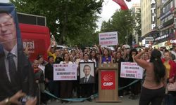 CHP Ankara İl Kadın Kolları Başkanlığı'ndan Asu Kaya'nın Görevden Alınmasına Tepki