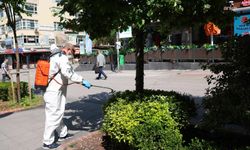 Çankaya'da Yaz Mesaisi Başladı