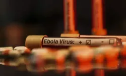 DSÖ'den Korkutan Ebola Açıklaması: Kontrol Edemiyoruz