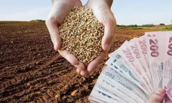 2026 Yılı Hububat Alım ve Satım Fiyatları Belli Oldu