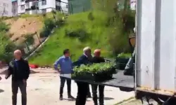 Kızılcahamam'da Üreticiye Çilek Fidesi Hibesi