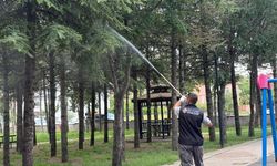 Sincan Belediyesi'nden Kapsamlı İlaçlama Çalışması
