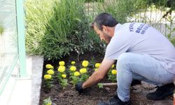 Yenimahalle Rengarenk Bir Yaza Hazırlanıyor