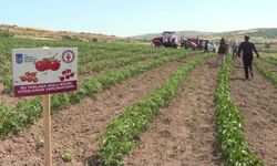 Ankara Büyükşehir Belediyesi'nden Üreticiye 'Akıllı Böcek Kiti' Desteği