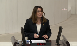 CHP'li Bankoğlu'ndan TBMM'deki İstismar Davası Kararına Tepki
