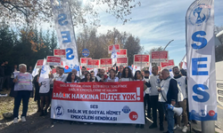 Sağlık Bakanlığı'na 'Ücretsiz Kuduz Aşısı' Çağrısı