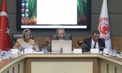 TBMM Komisyonu: Gençlerin Yüzde 88,1'i Sosyal Medyaya Yaş Sınırı İstiyor