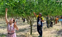 Başkentliler, Ankara Büyükşehir Belediyesi'nin Düzenlediği "Hasat Şenliği"nde Buluştu