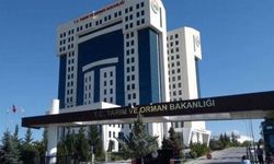 Tarım ve Orman Bakanlığı 1874 Sözleşmeli Personel Alacak