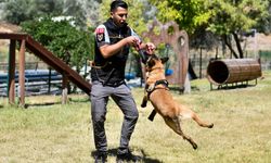 Ankara Büyükşehir Belediyesi'nin K9 Ekipleri Başkent'te Görev Başında