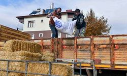 ATA Çiftliği’nde Yapılan Hasat Yüzde 100 Hibeyle Manda Yetiştiricilerine Ulaştırılıyor