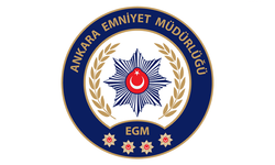 Ankara'da 5 Eğlence Mekanına Operasyon: 19 Yabancı Uyruklu Sınır Dışı Edilecek