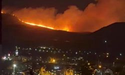 Ankara’da Ağaçlık Alanda Yangın Çıktı