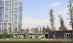 Ankara Büyükşehir Belediyesi'nden Kedilere Özel Merkez