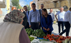 YENİ Parti Ankara Milletvekili Taşcıer: Niğde'de Kime Dokunsak Bin Ah İşittik