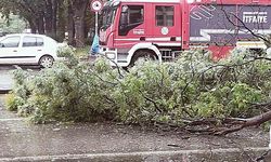 Başkentte Yağıştan Devrilen Ağaç Trafiği Aksattı