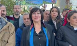 Fatsa'da Maden Ruhsatlarının İptali Davası, Ankara 22. İdare Mahkemesi'nde Görüldü