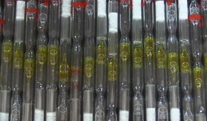 Beypazarı'nda 6 Milyon Liralık Kobra Yılanı Zehri Ele Geçirildi