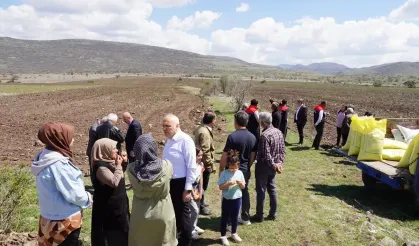 Kızılcahamam'da Karabuğday Desteği